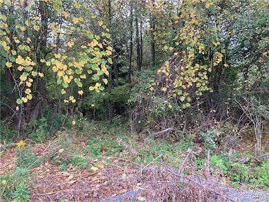 NE of E Main Street E Main St, Sackets Harbor, NY 13685 - photo 6