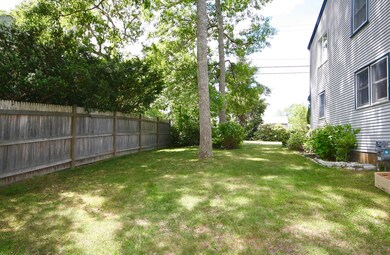 Side Yard