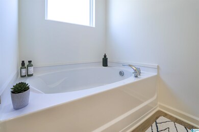 613 Acorn Ct, Calera, AL 35040 - photo 6