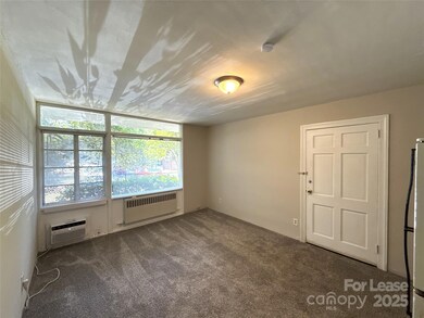 2126 E 7th St unit 107, Charlotte, NC 28204 - photo 2