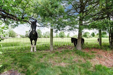 2116 Coldharbor Ct, Lewis Center, OH 43035 - photo 6