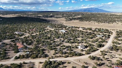 TBD Antelope Loop, Walsenburg, CO 81089 - photo 6