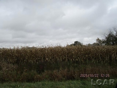 13001 BLK Bartlett Rd, Clinton, MI 49236 - photo 3