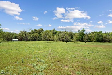 1220 River View Rd, Millsap, TX 76066 - photo 4