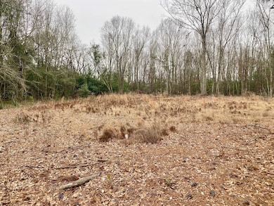 00 Hedge Rd, Aiken, SC 29801 - photo 3