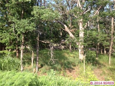 0 S Nandina Ct, Jenks, OK 74037 - photo 2