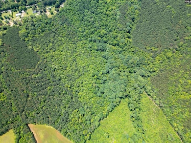 00 U S 76, Prosperity, SC 29127 - photo 5