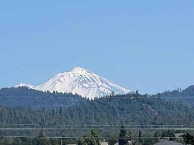 Mt Shasta