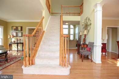 43348 St Andrews St, Chantilly, VA 20152 - photo 2