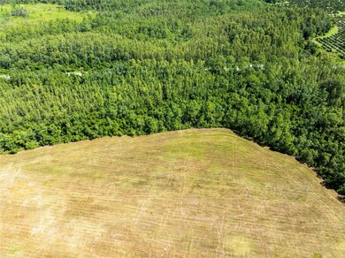 0 Deen Still Rd unit MFRO6337157, Polk City, FL 33868 - photo 6