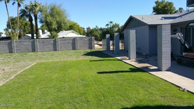 Javelina Backyard