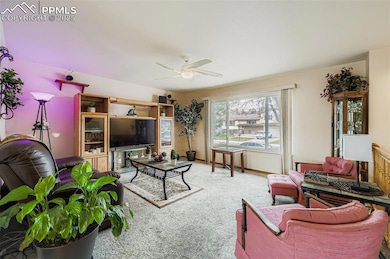 3219 Red Onion Cir, Colorado Springs, CO 80918 - photo 3