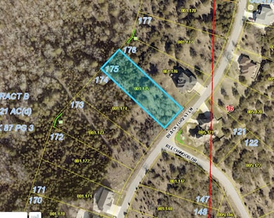Lot 175 Black Forest Ln, Branson West, MO 65737 - photo 2