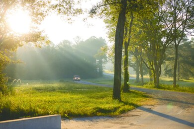 12038 Compassion Ln, Willis, TX 77378 - photo 7