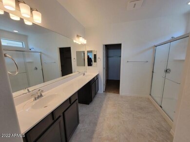 Owner's Bathroom