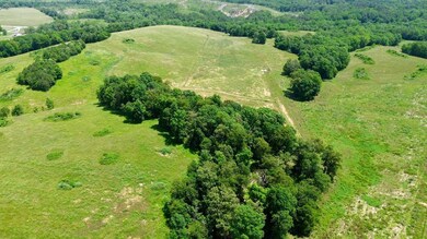 120 Acres Carnes Chapel Rd, Attalla, AL 35954 - photo 6