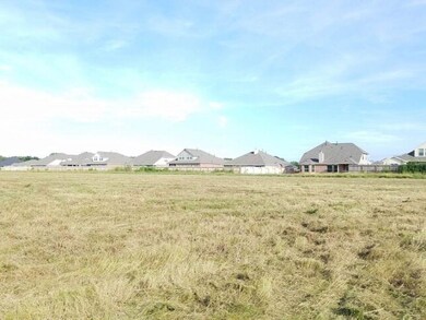 3779 Cr 106 (Skelly Rd), Bay City, TX 77414 - photo 7