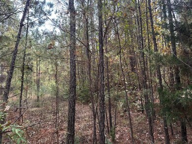 Ebenezer Tap Rd, Trout, LA 71371 - photo 7