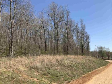 0 County Road 423, Epps Township, MO 63901 - photo 3