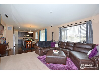 1121 101st Avenue Ct, Greeley, CO 80634 - photo 3
