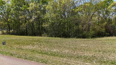 View of local wilderness