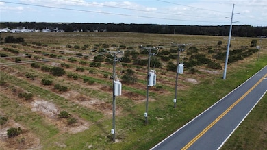 3200 Power Line Rd, Avon Park, FL 33825 - photo 2