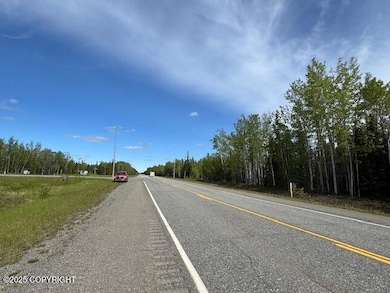 Mi 285 Parks Hwy, Nenana, AK 99744 - photo 7