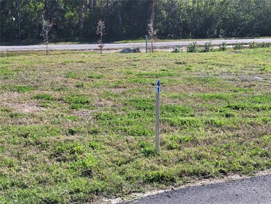 4792 Hermes Way, New Port Richey, FL 34652 - photo 6