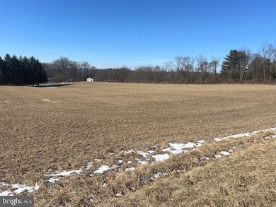 290 Kulps Rd, Barto, PA 19504 - photo 3