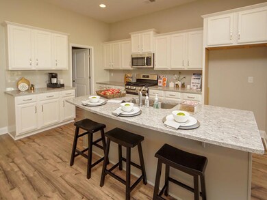 LS29 Kitchen