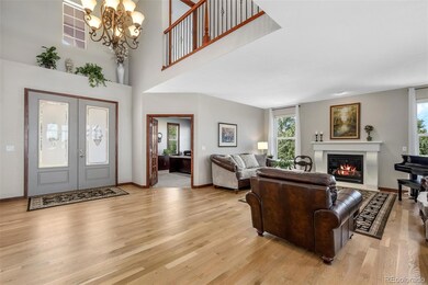 5672 Vistancia Ct, Parker, CO 80134 - photo 6