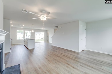 660 Clementine Run, Gilbert, SC 29054 - photo 7