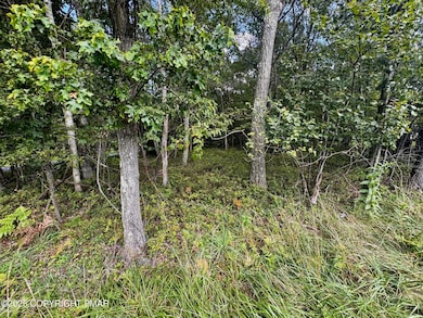 0 Rd, Jim Thorpe, PA 18229 - photo 2