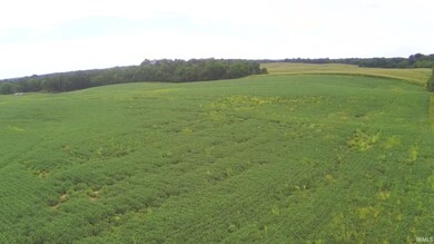 0 Us Hwy 231 unit 202534654, Loogootee, IN 47553 - photo 7