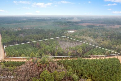 XXX White Rd unit 12.78 Acres, Chipley, FL 32428 - photo 5