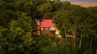 521 Lower Prince Mountain Rd, Cherry Log, GA 30522 - photo 5