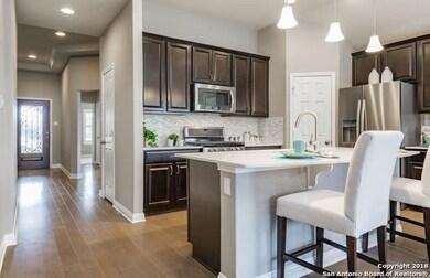 10830 Tansy Canyon, Helotes, TX 78023 - photo 2