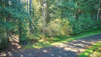 11114 106th St, Anderson Island, WA 98303 - photo 7