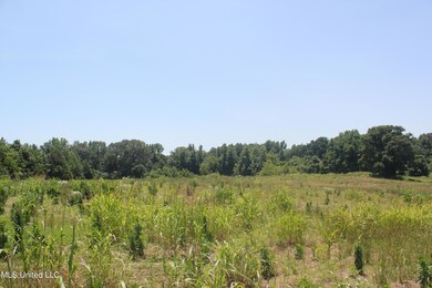 IMG_8442