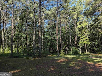 LOT 3 Joe Roberts Rd, Newnan, GA 30263 - photo 7