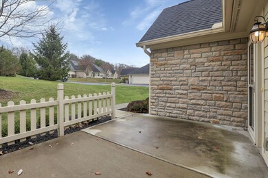 6-web-or-mls-0N4A7615