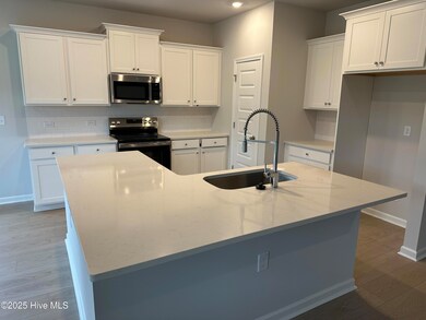 3333 SW Wood Stork Dr unit Litchfield Ii Lot 85, Ocean Isle Beach, NC 28469 - photo 2