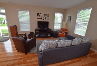 217 Springbrook Trail S, Oswego, IL 60543 - photo 4