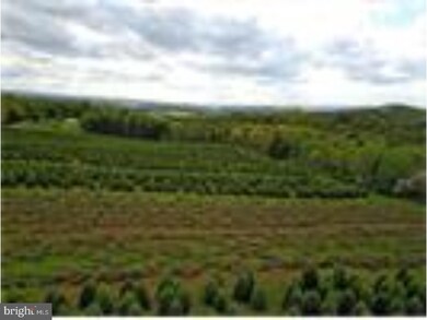 0 Sculps Hill Rd unit 1000282802, Auburn, PA 17922 - photo 6