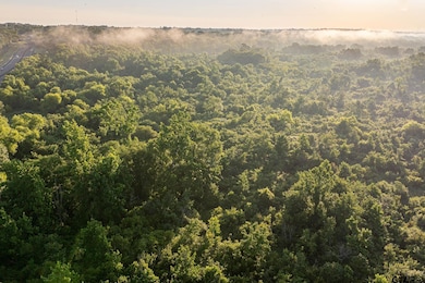 000 State Highway 155, Frankston, TX 75763 - photo 2