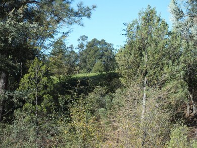 Distant View of Fairway