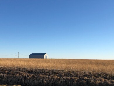 3175 E Brunswick Rd, Beecher, IL 60401 - photo 5