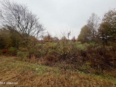 0 Fairview Rd, Charleston, MS 38921 - photo 3