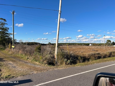 1507 White Plains Rd, Engelhard, NC 27824 - photo 2