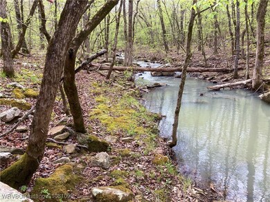 TBD N 4740, Muldrow, OK 74948 - photo 2